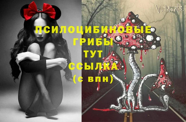 первитин Балахна