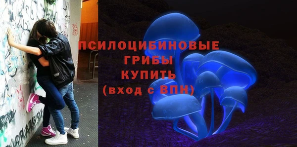 первитин Белоозёрский
