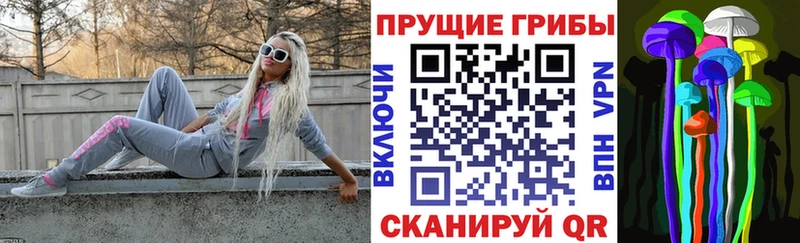 где продают   Беломорск  Псилоцибиновые грибы Cubensis 